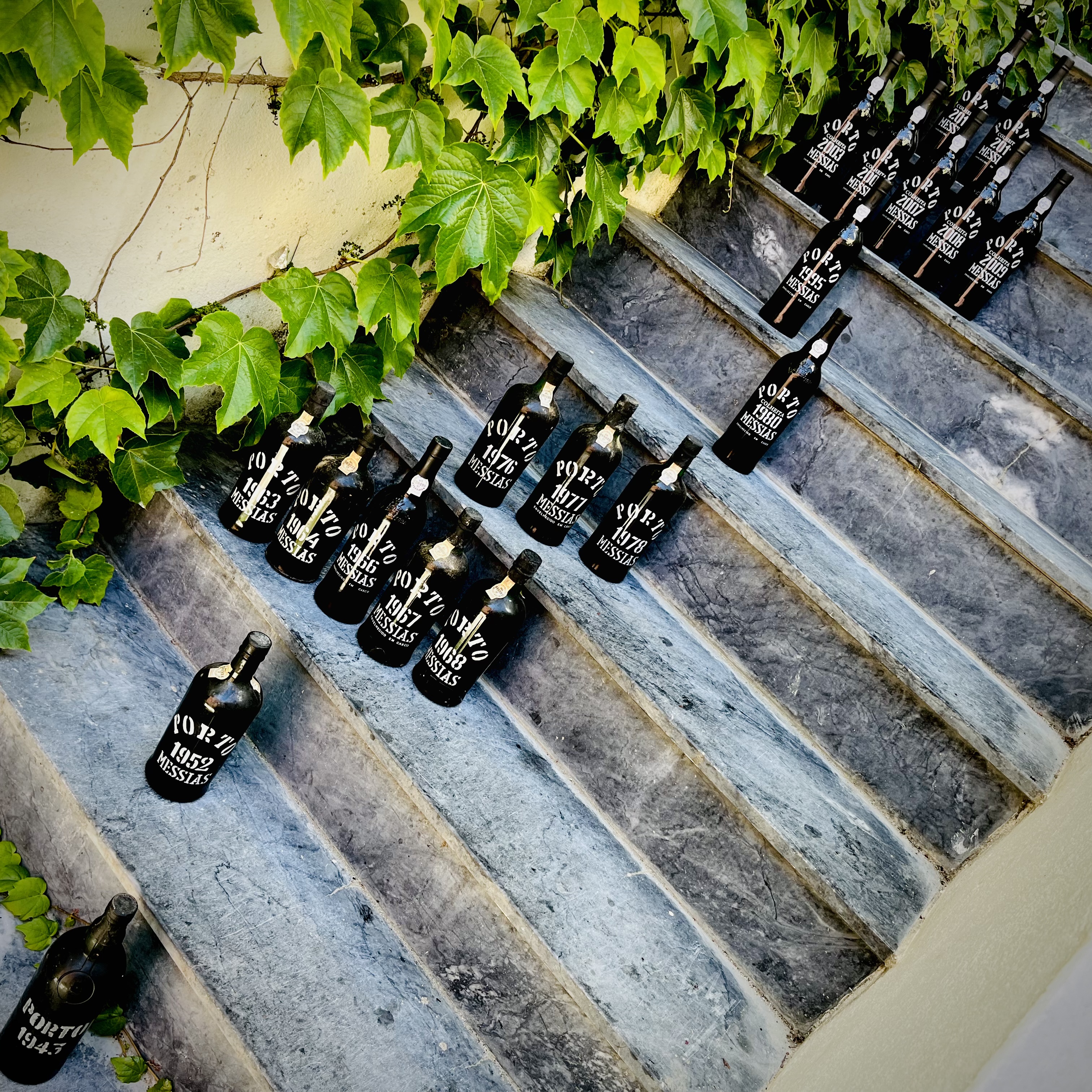 Vertical 20und Porto colheitas Messias